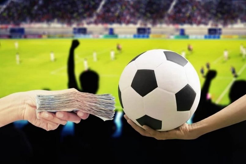  Learn about football betting and how to play effectively Ca-do-bong-da-la-gi-3